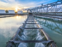 Groei export Nederlandse watersector
