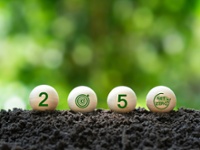 Regeldruk Europese Emissiehandelssysteem