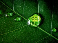 Panteia vermindert CO2-uitstoot: eerste helft van 2025